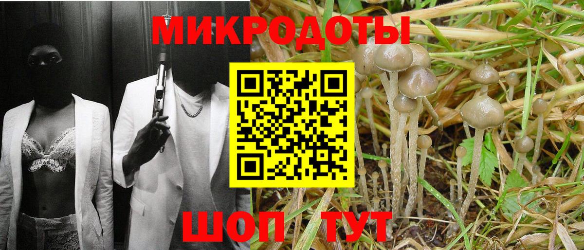 Хабаровск  Галлюциногенные грибы Cubensis  Вход с VPN 