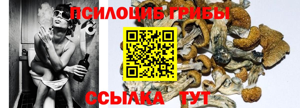 Галлюциногенные грибы Magic Shrooms Хабаровск